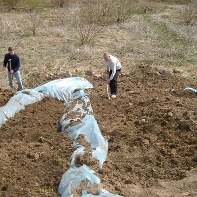 Przygotowanie poletka pod uprawę wierzby