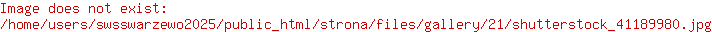 Schemat organizacyjny